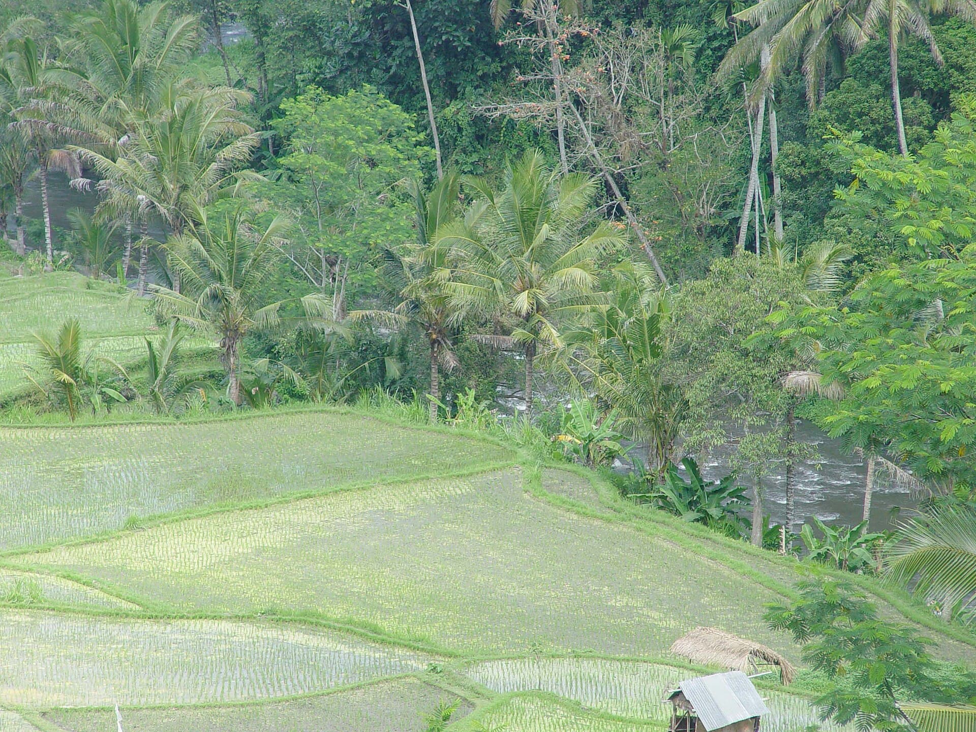 Bali Honeymoon Escape